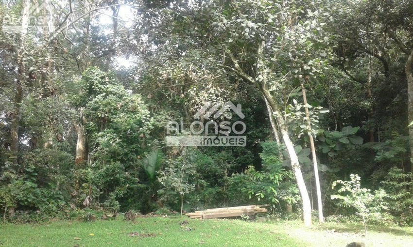 ALONSO IMÓVEIS
