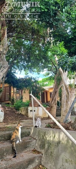 Terreno Com 550mt2- 02 Casas Confortáveis! Venha CONHECER...