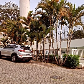 ALONSO IMÓVEIS