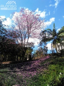 ALONSO IMÓVEIS
