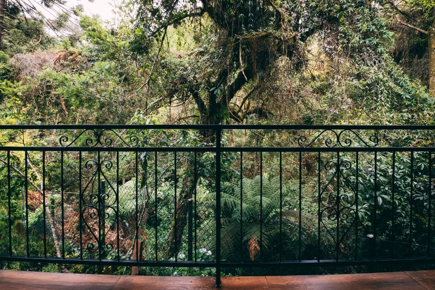 Serras de Monte Verde