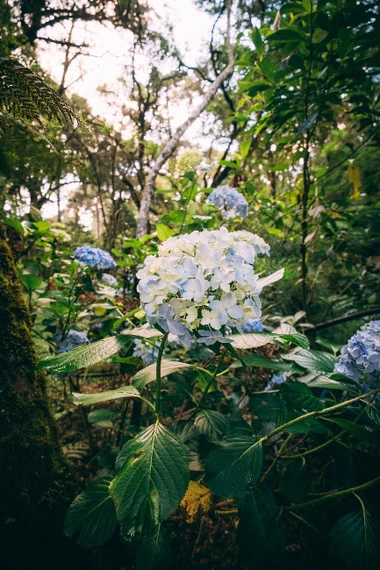 Serras de Monte Verde