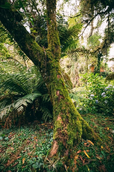 Serras de Monte Verde