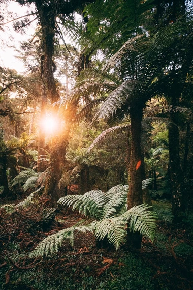 Serras de Monte Verde