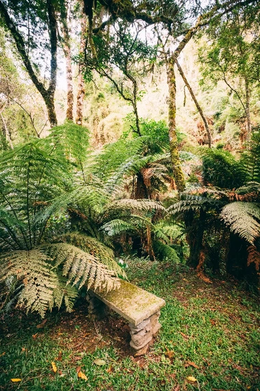 Serras de Monte Verde