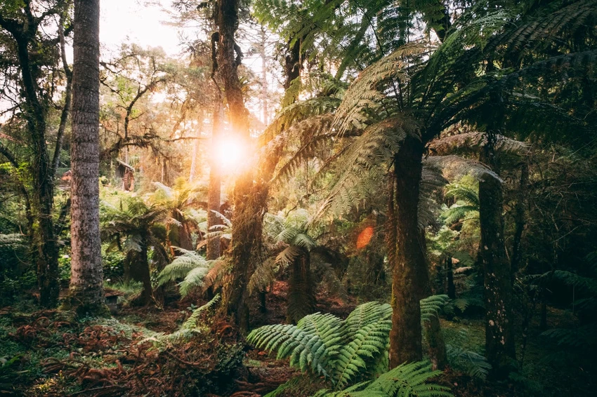 Serras de Monte Verde