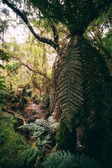 Serras de Monte Verde