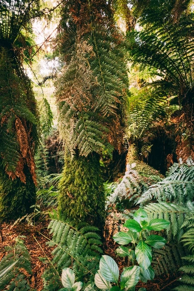 Serras de Monte Verde