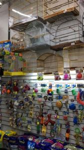 Pet Shop Padrão