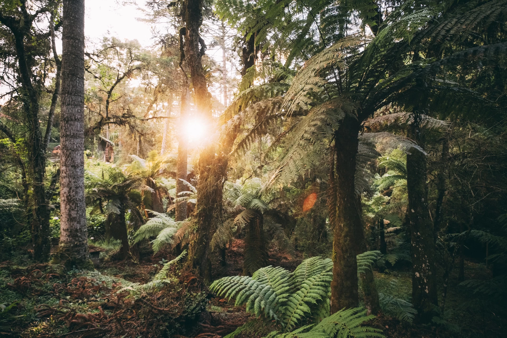 Serras de Monte Verde
