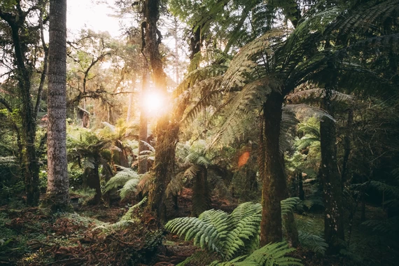 Serras de Monte Verde